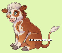 Pet