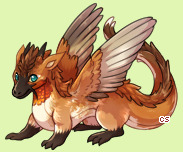 Pet