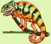 Pet
