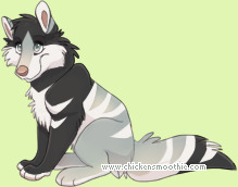 Pet