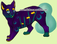 Pet