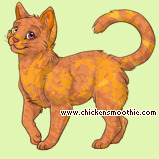 Pet