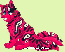Pet