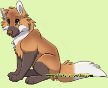 Pet
