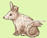 Pet