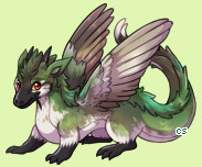 Pet