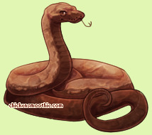 Pet