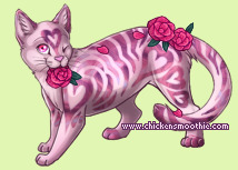 Pet
