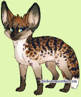 Pet