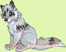 Pet