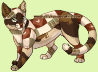 Pet