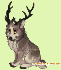 Pet