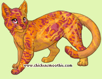 Pet