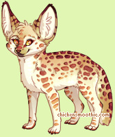Pet