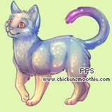 Pet