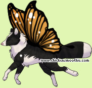 Pet