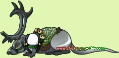 Pet