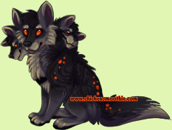 Pet