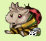 Pet