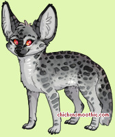 Pet