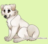 Pet
