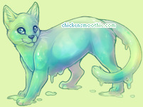 Pet
