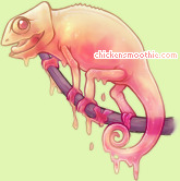 Pet