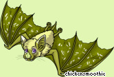 Pet