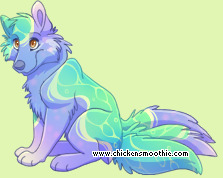 Pet