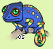 Pet