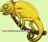 Pet