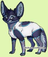 Pet