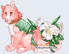 Pet
