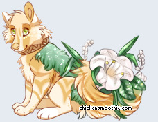 Pet