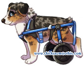 pic.php?k=5B221B40298709E48035DE80BAB3E6D2&bg=ffffff