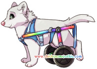 pic.php?k=7D843EC199B3B1BE494349C7921099B4&bg=ffffff