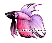 pic.php?k=D004522AFA4747D4D3B3C4B2C098AF56&bg=ffffff