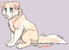 Pet
