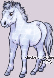 Pet