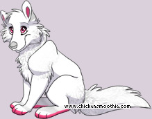 Pet