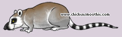 Pet