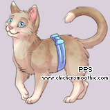 Pet