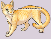 Pet