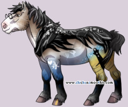 Pet